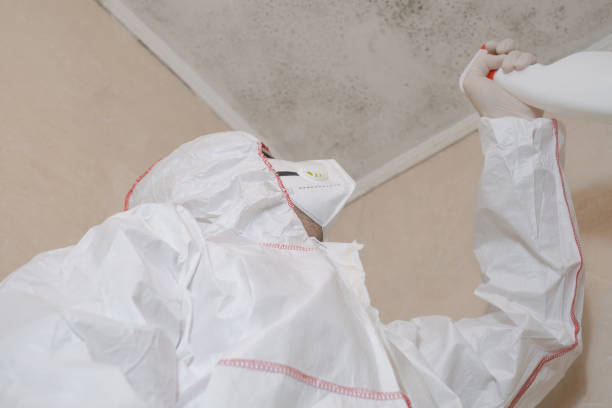 Best Mold Testing  in Rockmart, GA