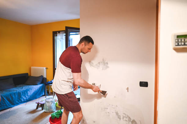 Best Fast Mold Removal  in Rockmart, GA